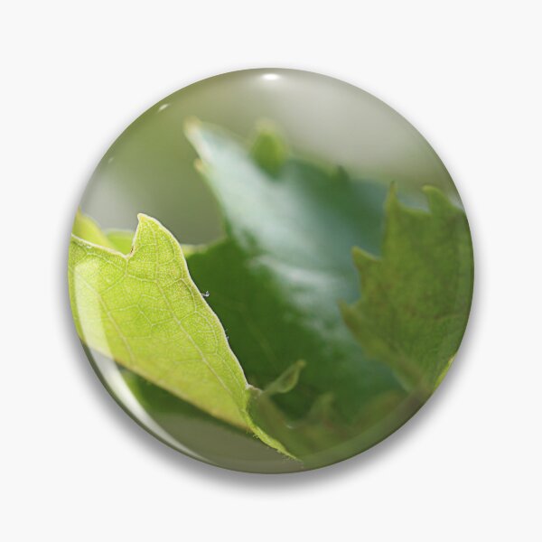 Item preview, Soft green. designed and sold by Paul Pasco.