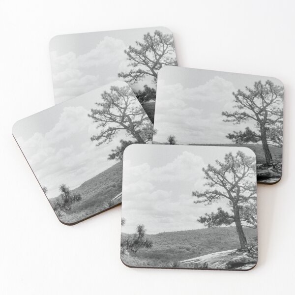 Item preview, Minnewaska Tree Black and White Photo designed and sold by brycecphotos.