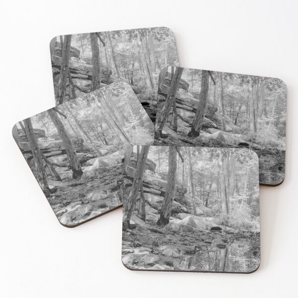 Item preview, Pond & Rocks Black and White landscape photo designed and sold by brycecphotos.