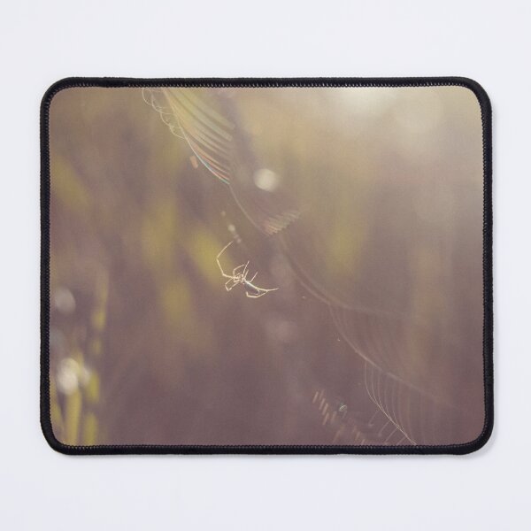 Item preview, Spider web in the morning designed and sold by Michał Pęczak.