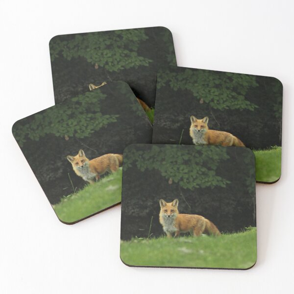 Item preview, Red Fox in nature photography designed and sold by muralmouse.