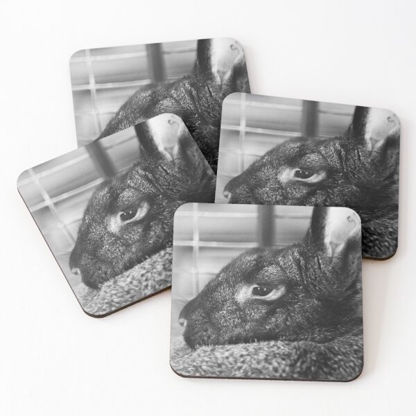Item preview, Rabbit's Eye Ulster County Fair Black and White Photo designed and sold by brycecphotos.