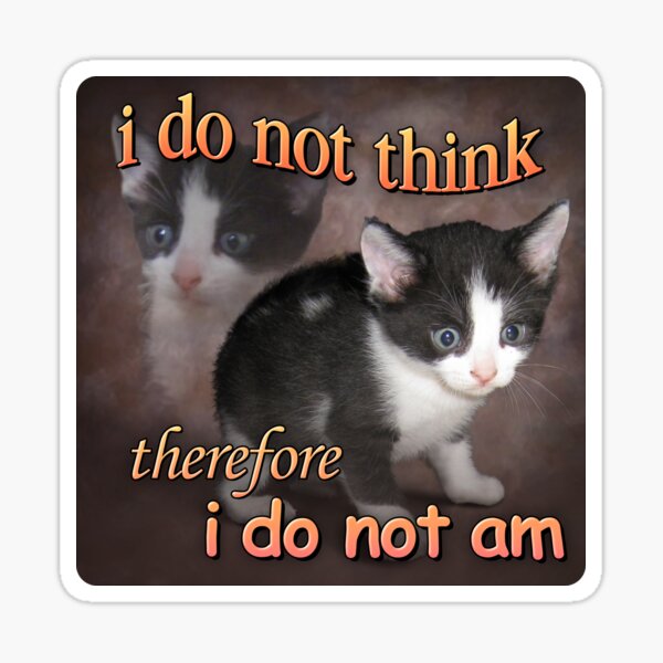 I do not think therefore I do not am - cat meme portrait Sticker