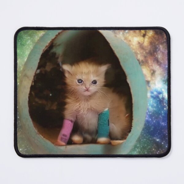 Item preview, Tater Tot the Kitten in Heaven designed and sold by kestrada2906.