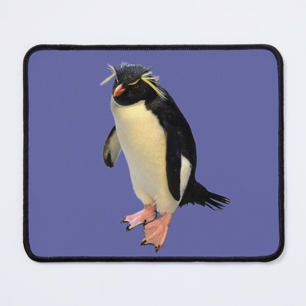 Item preview, Rockhopper Crested Penguin - blue background designed and sold by Louise-Mae.