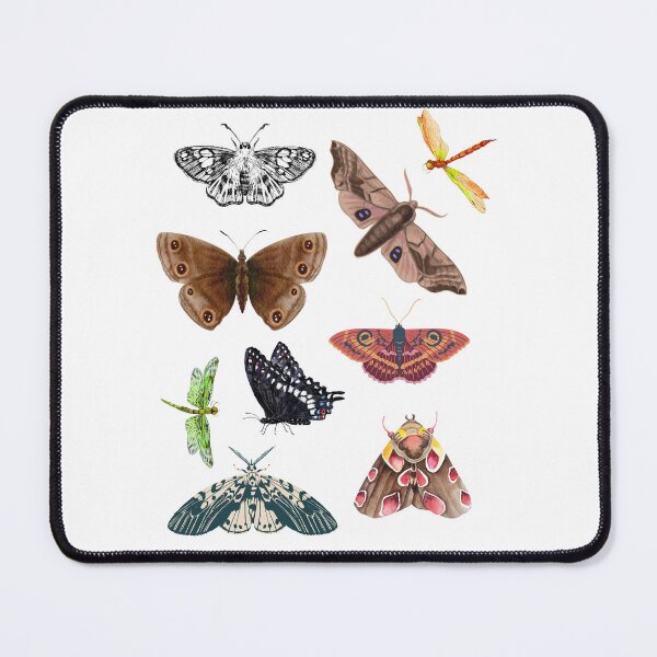 Item preview, winged things  designed and sold by ciarameadows.