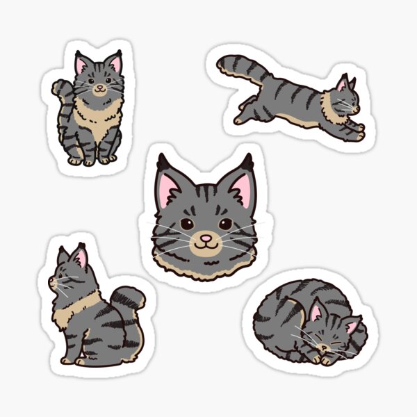 6 stickers: Cats 1 – AMANI TAMU