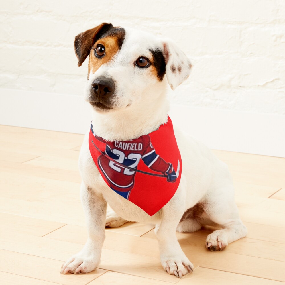 canadiens dog jersey