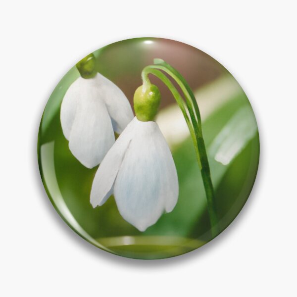 Item preview, Spring galanthus snowdrop flowers watercolor painting  designed and sold by Kate1art.