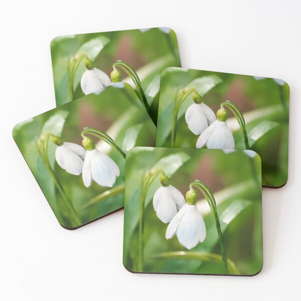 Item preview, Spring galanthus snowdrop flowers watercolor painting  designed and sold by Kate1art.