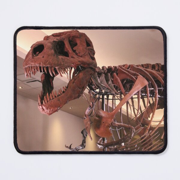 Item preview, Sue at the Field Museum  designed and sold by kaylanaiad.