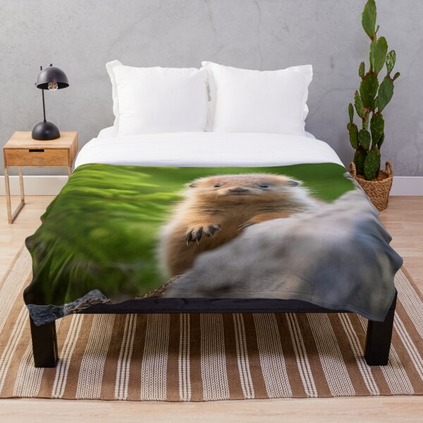 Aperçu de l'œuvre bébé marmotte créée et vendue par DigitizedArt.