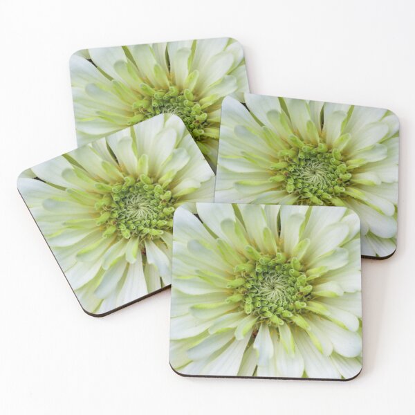 Item preview, Macro White Zinnia Flower  designed and sold by Sonya Umble.