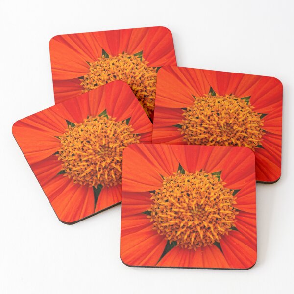 Aperçu de l'œuvre Macro Fleur Rouge créée et vendue par Sonya Umble.