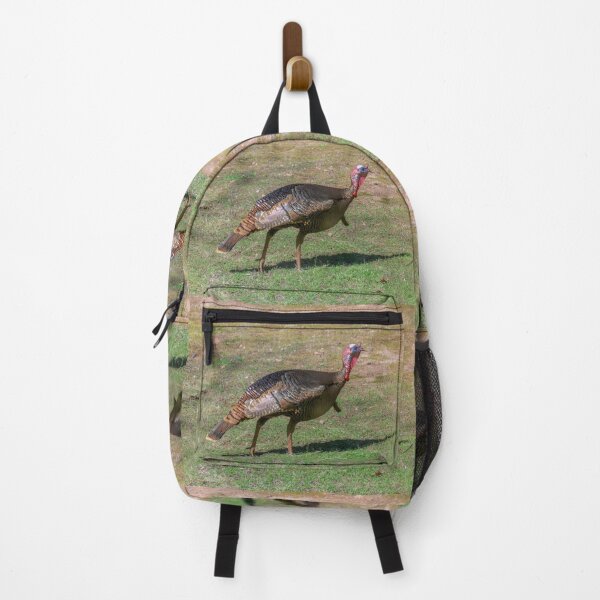Item preview, Eastern Turkey with Red Neck, Brown Plumage designed and sold by SafariByMarisa.