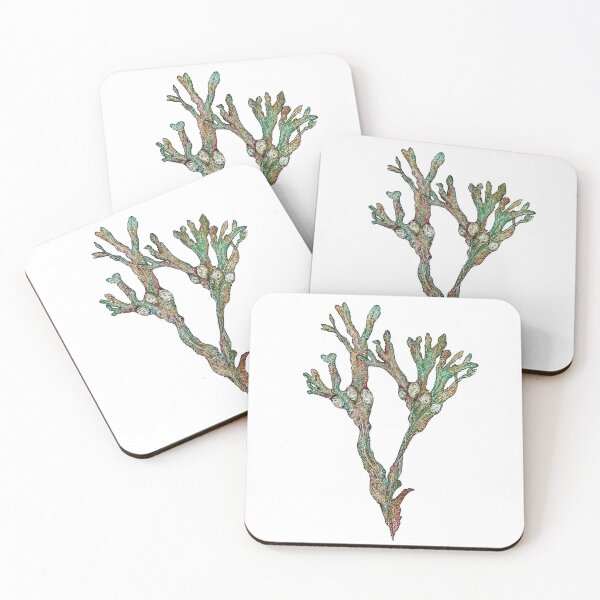 Item preview, Bladderwrack seaweed designed and sold by Genev13ve.