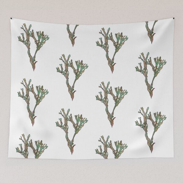 Item preview, Bladderwrack seaweed designed and sold by Genev13ve.