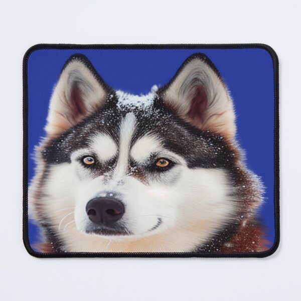 Item preview, Siberian Husky 2 Blue designed and sold by Becooldesing.