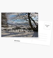 valley view Postcards