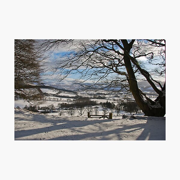 valley view Photographic Print