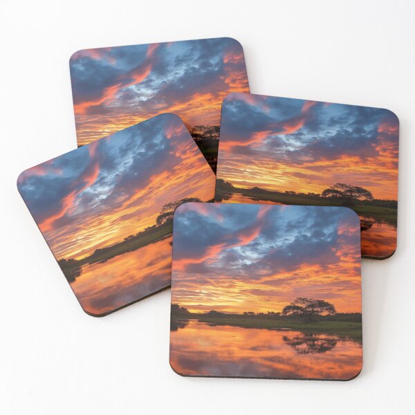 Item preview, Sunset on the Pantanal Plains, Brazil designed and sold by StudioRedKoala.