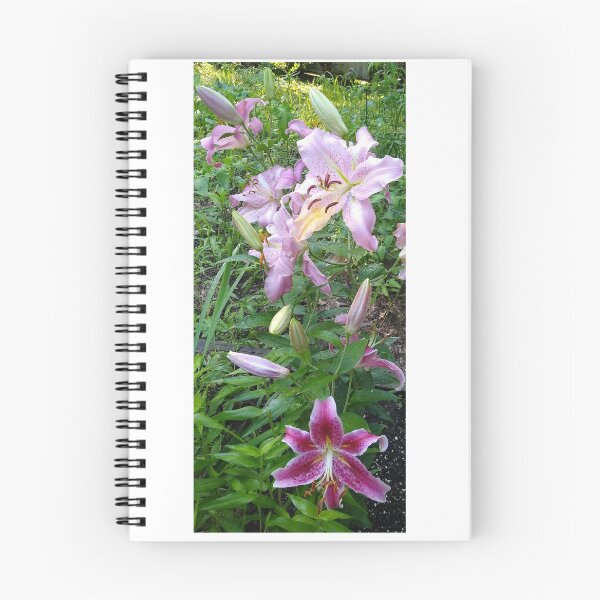 Item preview, Stargazer Lily designed and sold by JAMporium.