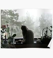 A Missty Day Poster