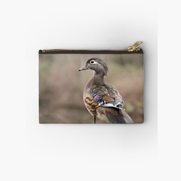 Item preview, Feathered Friend designed and sold by Tracy Friesen.