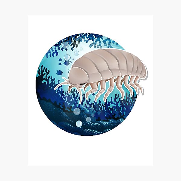 Item preview, dairy cow isopod Classic T-Shirt designed and sold by isola design⭐⭐⭐⭐.