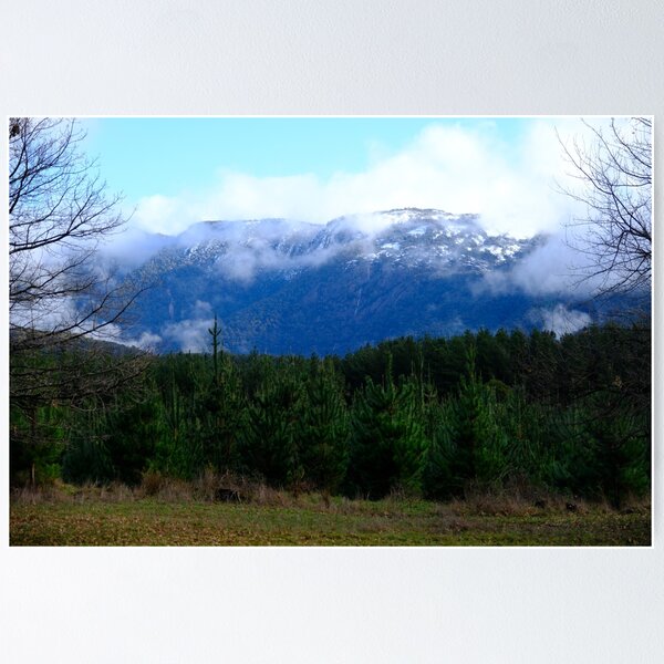 Item preview, Snow Capped Mountain (Mt Buffalo) With Pine Trees  designed and sold by RobbieAlex.