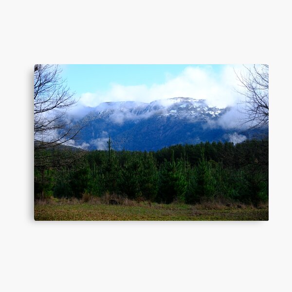 Item preview, Snow Capped Mountain (Mt Buffalo) With Pine Trees  designed and sold by RobbieAlex.