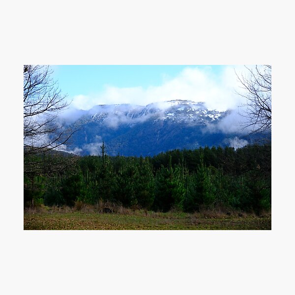 Item preview, Snow Capped Mountain (Mt Buffalo) With Pine Trees  designed and sold by RobbieAlex.