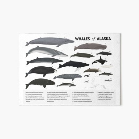 Item preview, Whales of Alaska designed and sold by Emma Luck.