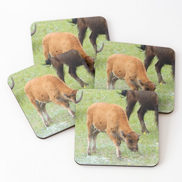 Item preview, Baby American Bison designed and sold by gistinker.