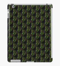 galaxy iPad Case/Skin