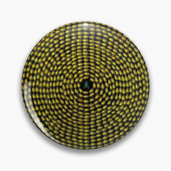 Item preview, Beetle Shield designed and sold by scrit2003.
