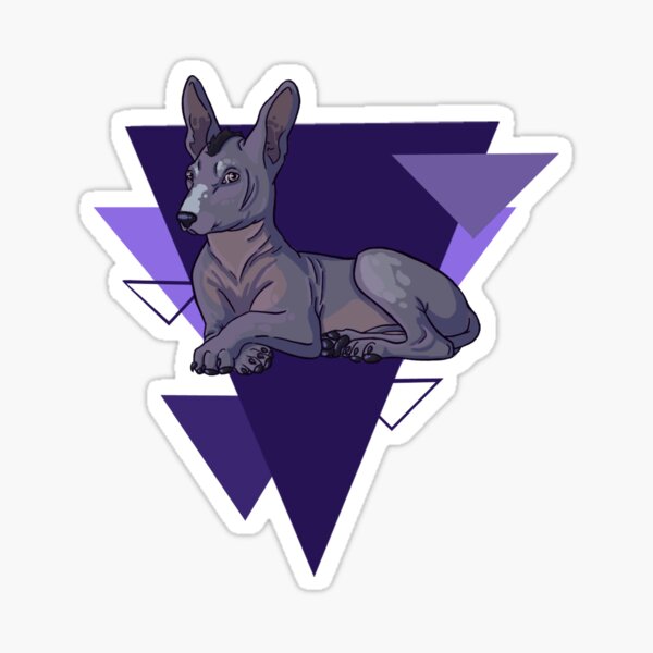 Vista previa del artículo con la obra «Xoloitzcuintli», diseñado y vendido por Skergthemeak.