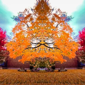Artwork thumbnail, Harvesting Fall by ColorShop41