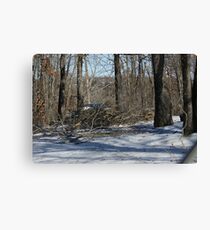After the Storm Canvas Print