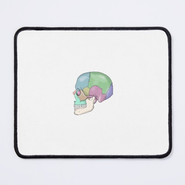 Item preview, anatomical skull designed and sold by KarenChleal.