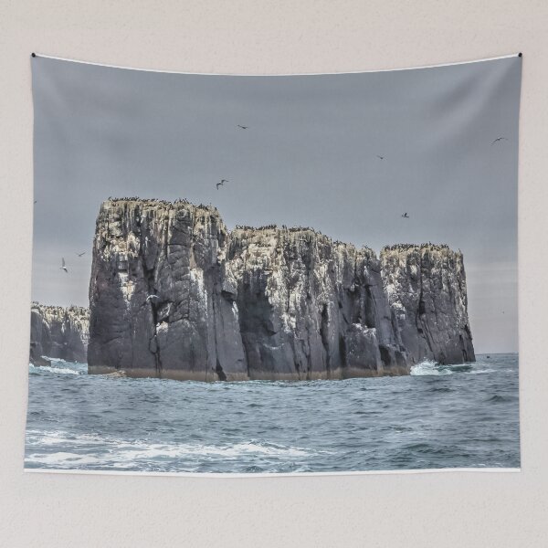 Artikelvorschau, die Farne Inseln entworfen und verkauft von HaleyRedshaw.