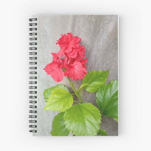 Artikelvorschau, Blumen-Hibiskus entworfen und verkauft von ThePinkProject.