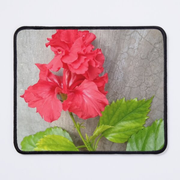 Item preview, Flower Hibiscus designed and sold by ThePinkProject.