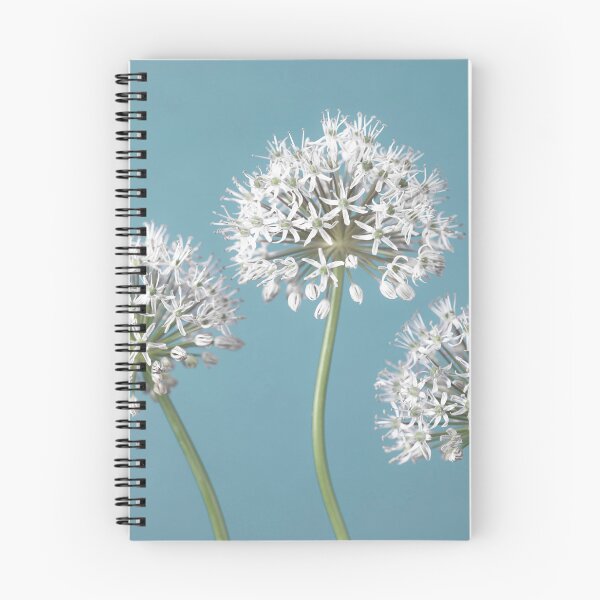 Item preview, Whimsical Allium Trio designed and sold by assaf.