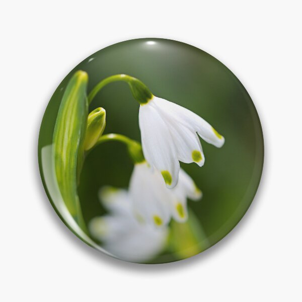 Item preview, Snowdrops Flowers In White  designed and sold by Joy Watson - Natural Light Photography .