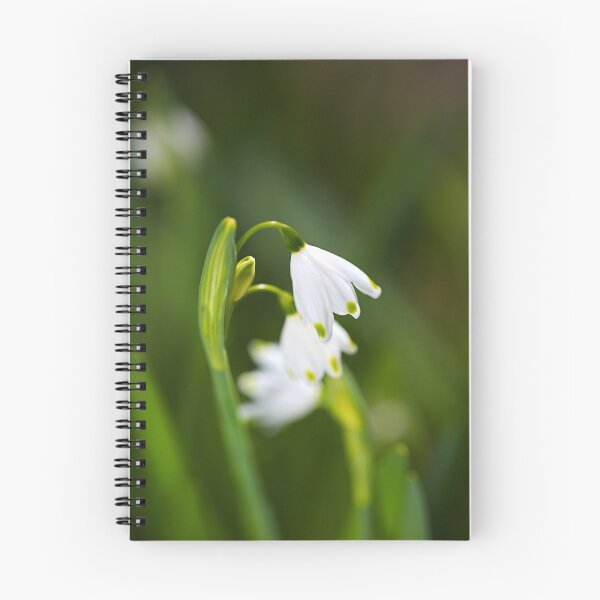 Item preview, Snowdrops Flowers In White  designed and sold by Joy Watson - Natural Light Photography .