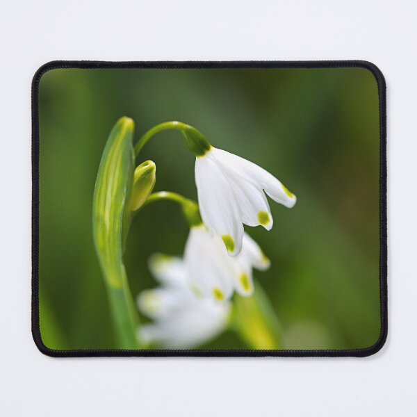 Item preview, Snowdrops Flowers In White  designed and sold by Joy Watson - Natural Light Photography .
