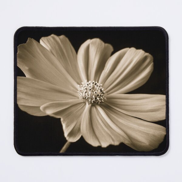 Item preview, Cosmos flower designed and sold by assaf.