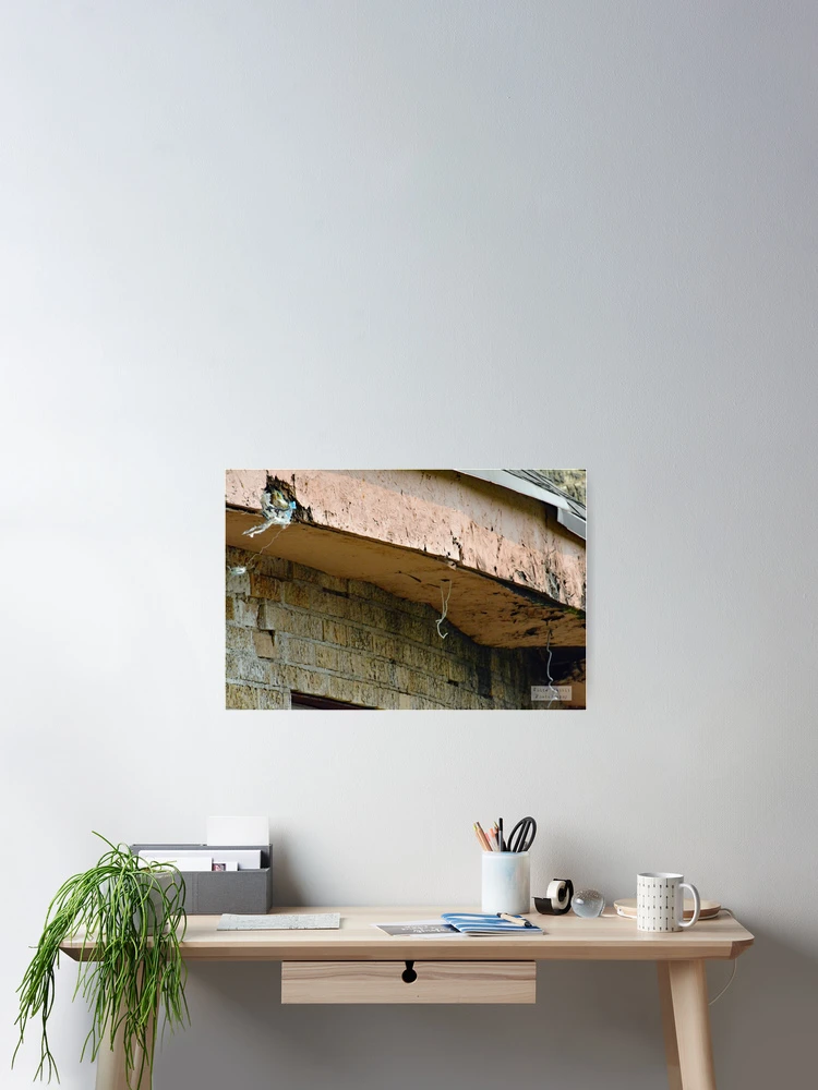 Imagen 2 de 3, Póster con la obra Establos Timken, diseñada y vendida por RabbitHole13.