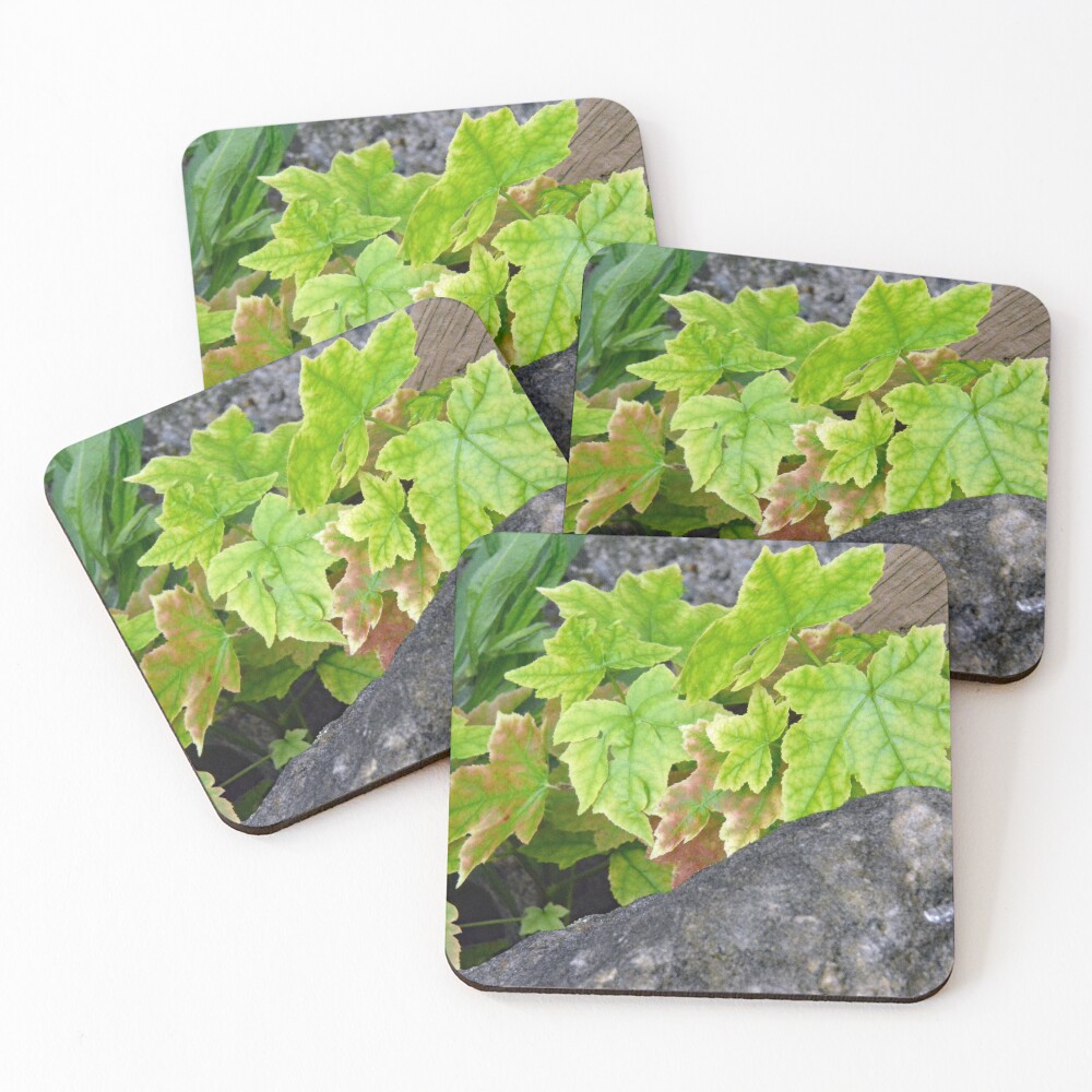 Item preview, Coasters (Set of 4) designed and sold by RabbitHole13.